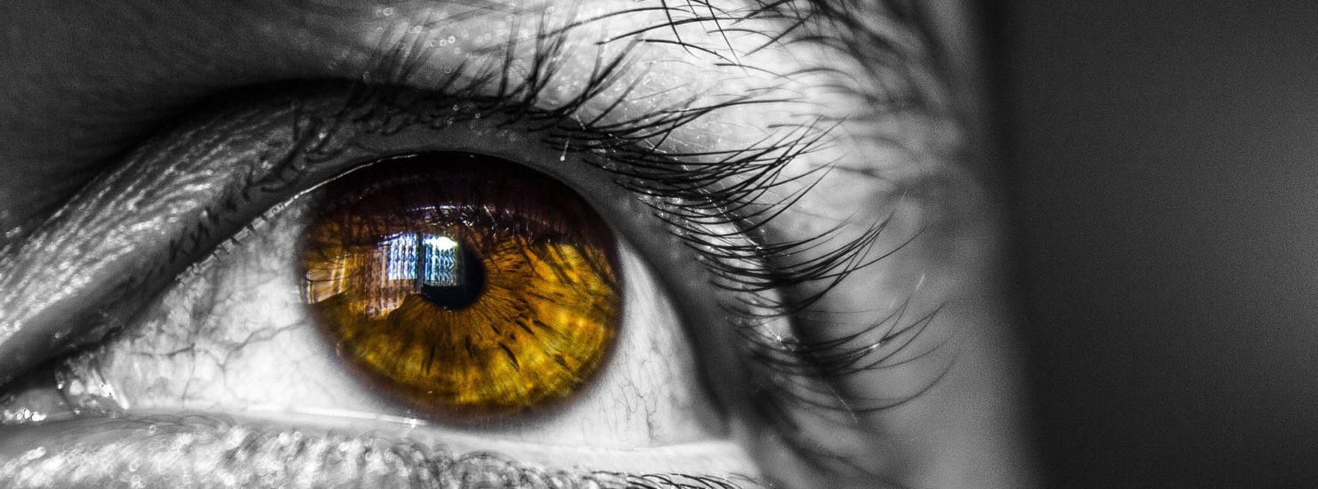 eye