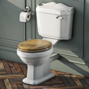 fancy toilet