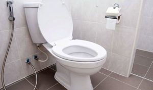 standard toilet