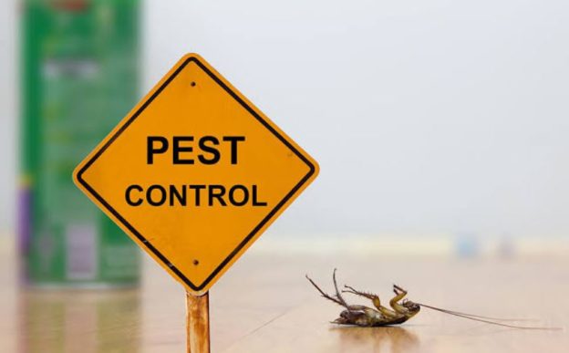 pests
