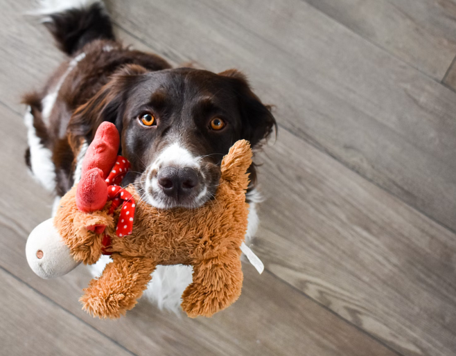 toy